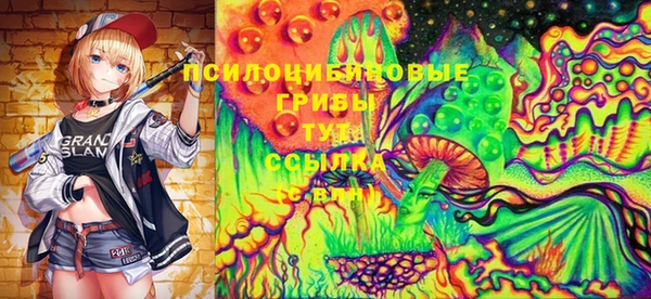 ECSTASY Абаза