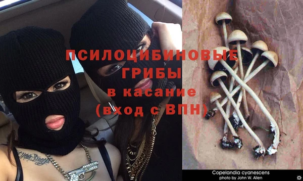 мет Абинск