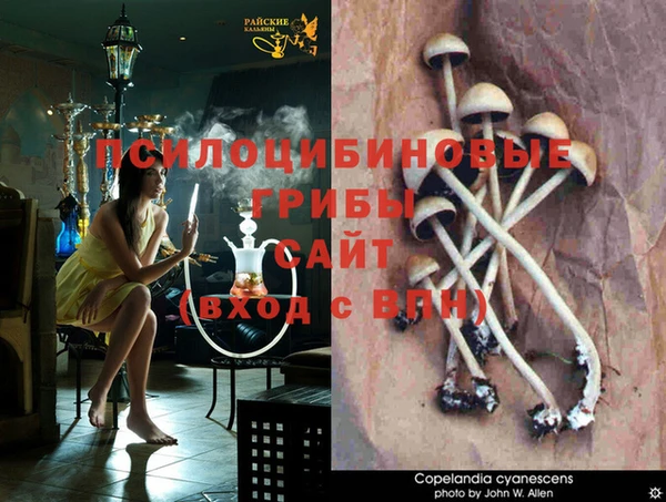 jwh Краснослободск