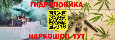 ПСИЛОЦИБИНОВЫЕ ГРИБЫ Гусь-Хрустальный