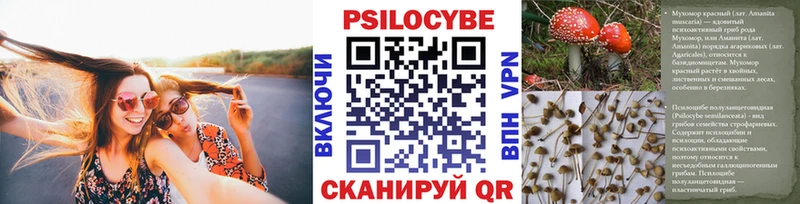 Галлюциногенные грибы GOLDEN TEACHER  Нальчик 