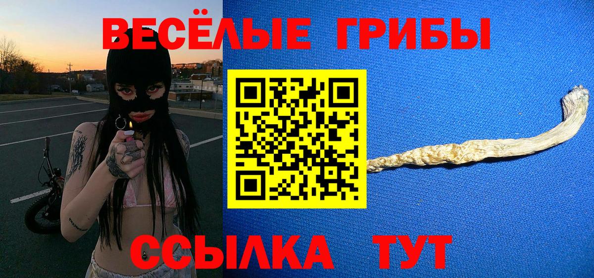 Псилоцибиновые грибы Magic Shrooms Нальчик