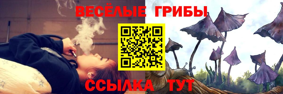 Нальчик  Псилоцибиновые грибы Psilocybine cubensis  Вход с VPN 
