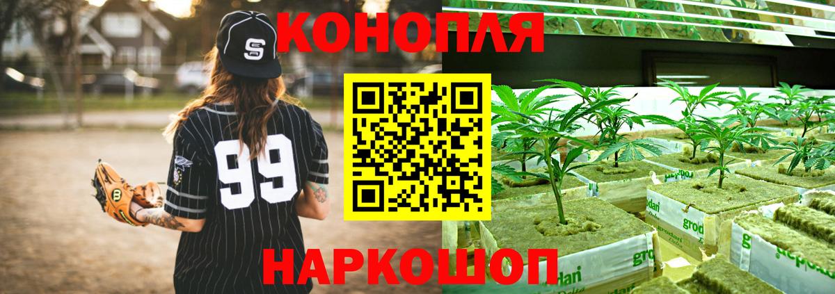 Бошки марихуана индика  МАРИХУАНА OG Kush  Нальчик  Вход с VPN  Бошки марихуана планчик 